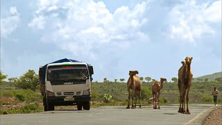 Voyage extrême  Ethiopie et Roumanie  Des Camions et des Hommes [upl. by Yrahcaz841]