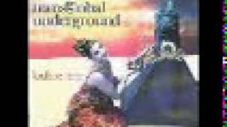 Transglobal Underground  Lookee here dread zone mix [upl. by Boorman856]