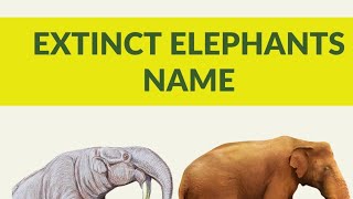 EXTINCT ELEPHANTS NAMES kids animals elephant [upl. by Bridgette]