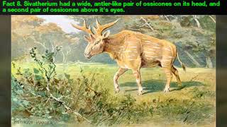 21 Facts about Sivatherium [upl. by Januisz]