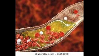 HSC BOTANY  CHAPTER 3  LIPID 02   MD SADMAN  DHAKA MEDICAL COLLEGE [upl. by Pappas]