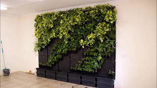 Modiwall Vertical Garden DIY time lapse [upl. by Em]