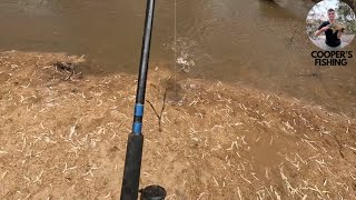 Fishing in the Campaspe River near Echuca [upl. by Finnie]