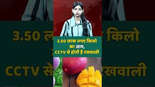 350 लाख रुपए किलो का आम mango Worlds most expensive mango  trendingnews shortsvideo [upl. by Setarcos583]