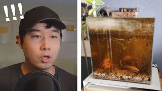 goldfish rescued from HORRENDOUS TANK  Fish Tank Review 187 [upl. by Fital189]