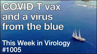 TWiV 1005 COVID T vax and a virus from the blue [upl. by Forta]