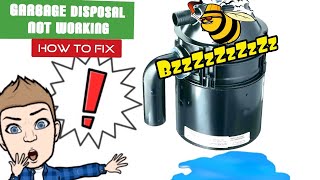 How to fix a jammed garbage disposal step by step The Plumber Explains [upl. by Asilanna481]