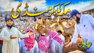 Makkah ki bakra Mandi hajj season 2024  Latest hajj 2024 updates [upl. by Artair]