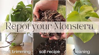 How To Repot Your Monstera  Monstera Plant Care [upl. by Scholem]