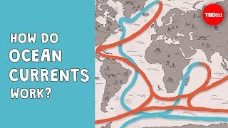 How do ocean currents work  Jennifer Verduin [upl. by Kironde]