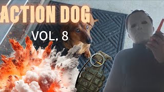 ACTION DOG Volume 8 [upl. by Natka]