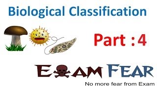 Biology Biological Classification part 4 Monera Bacteria Characteristics types CBSE class 9 IX [upl. by Fidelity]