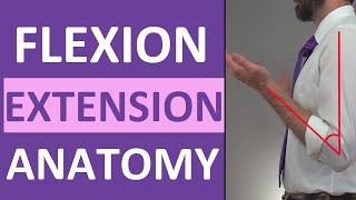 Flexion and Extension Anatomy Shoulder Hip Forearm Neck Leg Thumb Wrist Spine Finger [upl. by Atirehs885]