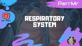 Respiratory System Song [upl. by Boys]