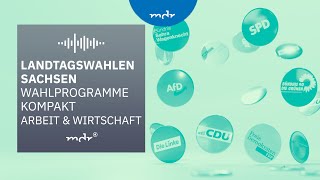 Arbeit amp Wirtschaft – Das planen Sachsens Parteien  Podcast Wahlprogramme kompakt  MDR [upl. by Noid369]