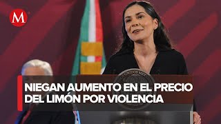 FALSO que el precio del limón se haya disparado por crimen organizado Vilchis [upl. by Seuqramed693]