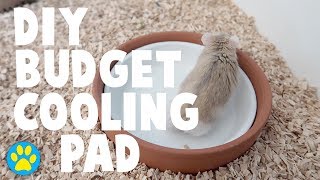 DIY Cooling Pad Made From A Plant Pot  Summer Hamster Care [upl. by Ykcaj]