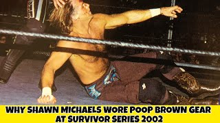 Why Shawn Michaels Wore POOP Brown Gear At Survivor Series 2002 [upl. by Jacey630]