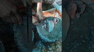 Amazing Fast Chanda Fish Cutting Skills In Assam Fish Market By Expert Cutter fish fishcuting [upl. by Erihppas]