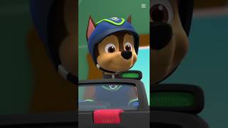 paw patrol chase edit 💙🇮🇩 pawpatrol [upl. by Primalia928]