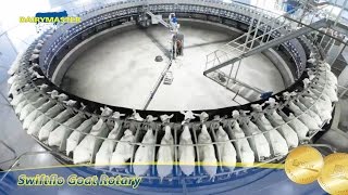 Milking 1800 Goats  Dairymasters Award winning Goat Rotary Milking Parlour [upl. by Aissat456]