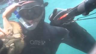 Spearfishing trip to Saltstraumen 2011 [upl. by Neil666]