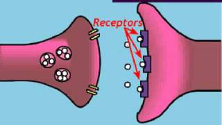 Brain Stroke Types of Causes Pathology Symptoms Treatment and Prevention Animation [upl. by Birdella764]