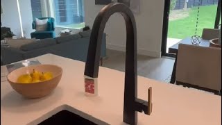 Builder Review of Moen Nio One Handle Kitchen Faucet [upl. by Deerc]