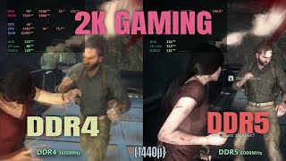 1440p Gaming  Ddr4 vs Ddr5 RAM [upl. by Weinrich]