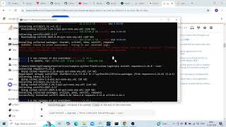 ERROR Could not install packages due to an OSError [upl. by Lamberto415]