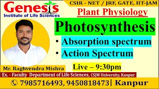 Photosynthesis  Absorption spectrum  Action spectrum  Plant Physiology  CSIR NETJRF  IITJAM [upl. by Jewel]