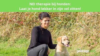 NEI therapie bij honden [upl. by Abita]