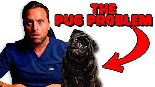 The Pug Problem [upl. by Inafets]