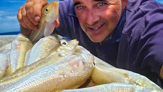 BIG Fish Bait Catch N Cook Rottnest Fishing [upl. by Inahs23]