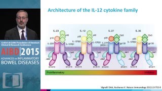 New Biologic Therapies that Target the IL1223 Pathway [upl. by Arsi]