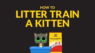 How to Litter Train a Kitten The Scoop by Tidy Cats® [upl. by Quar]