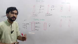 Drugs distribution pharmacokinetics lec 2 Medexplora zawaryousafzai [upl. by Hendrick370]