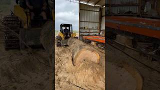 Can we get this heavy red oak log loaded up on the sawmill redoak sawmill woodmizer [upl. by Ziegler755]