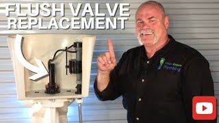 How To Replace A Toilet Flush Valve  DIY Plumbing [upl. by Hosfmann]