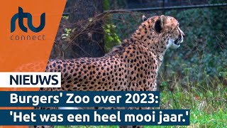 Burgers Zoo kijkt terug op succesvol 2023  RTV Connect [upl. by Etnahc186]