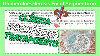 ⚕️🩺 Glomerulopatías GLOMERULOESCLEROSIS FOCAL Y SEGMENTARIA Síntomas Diagnóstico y Tratamiento [upl. by Berstine]