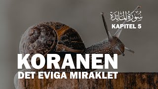 UPPLÄST KORAN  Kapitel 5  alMaida  Den himmelska måltiden  KORANENS BUDSKAP koranenpåsvenska [upl. by Ermin456]