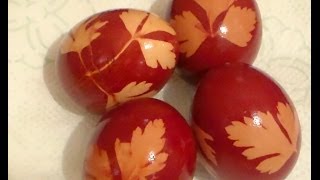 Oua vopsite cu coji de ceapa  Eggs Dyed With Onion Skins [upl. by Ahsieuqal]