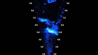 Sound Metrics Didson Sonar Divers [upl. by Fante]