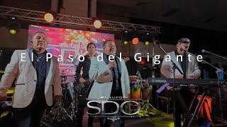 Grupo SDO  El Paso del Gigante En Vivo [upl. by Lertnek]