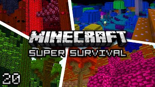 Minecraft Super Modded Survival Ep 20  I AM DUMB [upl. by Sheffield]