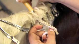 How to Braid a Horses Mane  brought to you by Greenhawk [upl. by Kelli]