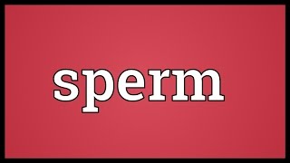 Sperm Meaning [upl. by Alonso59]