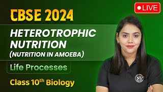 Heterotrophic Nutrition Nutrition in Amoeba  Life Processes Class 10 Biology  Shipra Mam [upl. by Akehsal603]