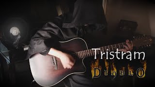 Diablo Tristram12 Strings Guitar Cover [upl. by Chessy]